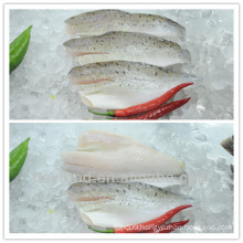 high quality Skin on/PBO sea bass fillets